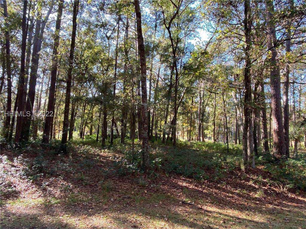 55 Volunteers Ridge - Photo 1