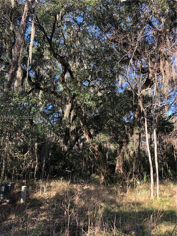 V Cassique Creek Dr - Photo 1