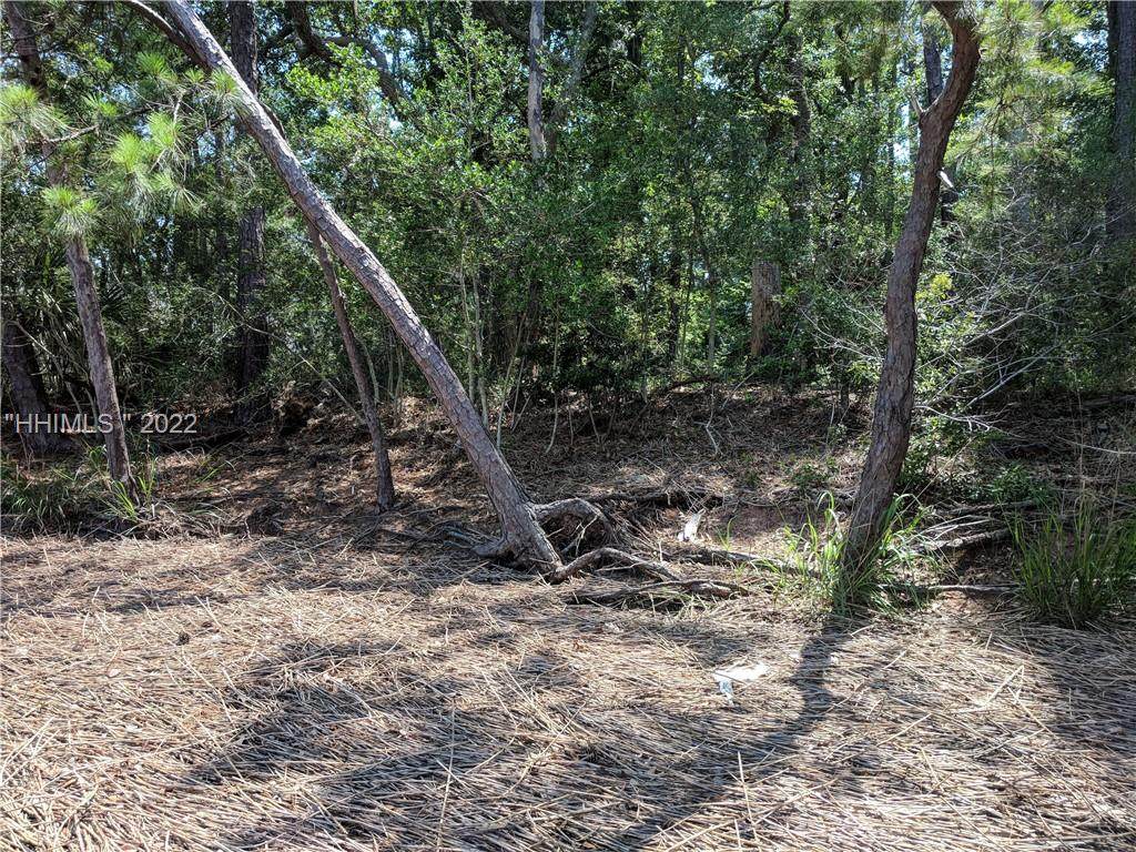 16 Dolphin Lane - Photo 1