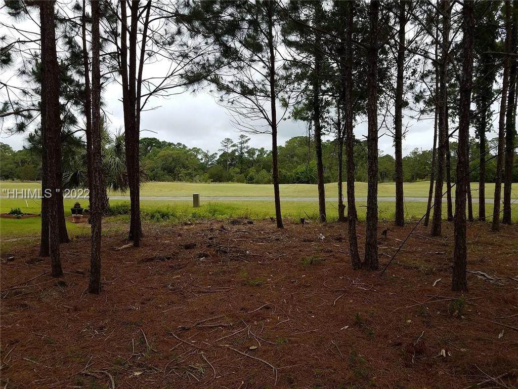 38 Pointe South Trace - Photo 1