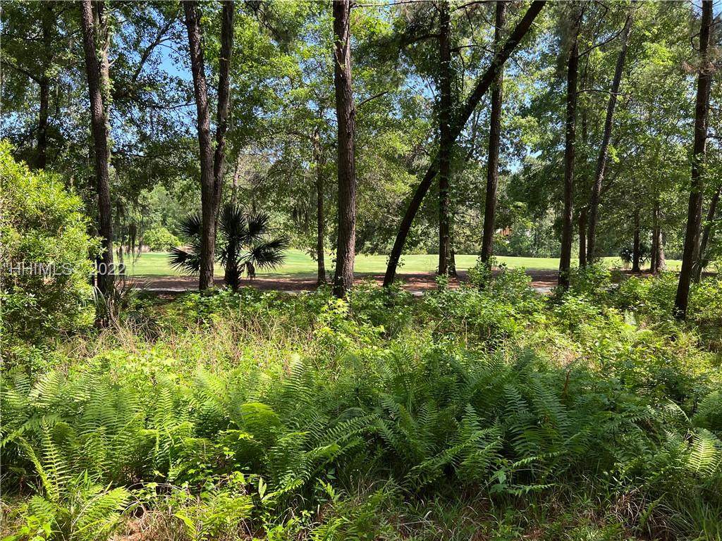 317 Spring Island Drive - Photo 1