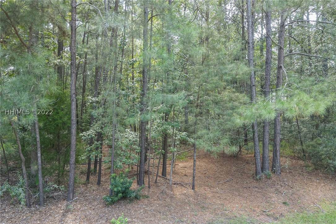 6 Oak Forest Drive - Photo 1