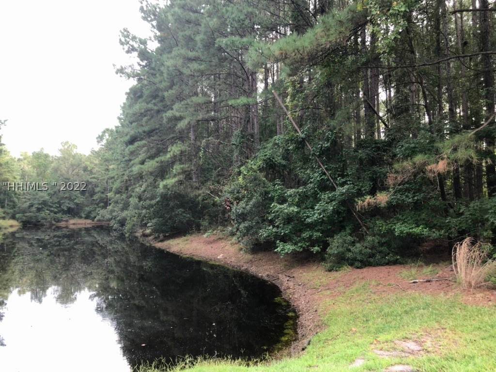 41 Bartons Run Drive - Photo 1