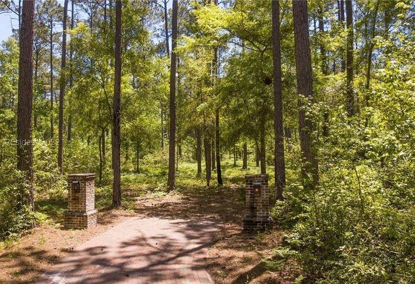 374 Old Palmetto Bluff Road - Photo 1