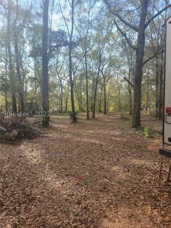 53 Arrow Head - Photo 1