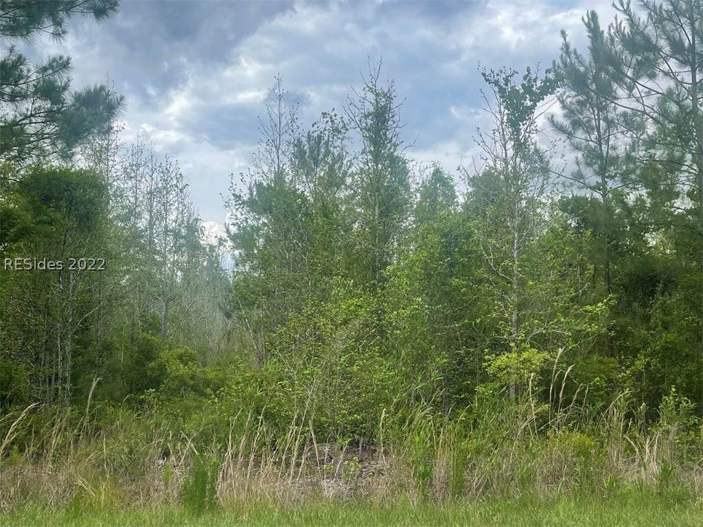 0 Off Cypress Branch Road - Photo 1