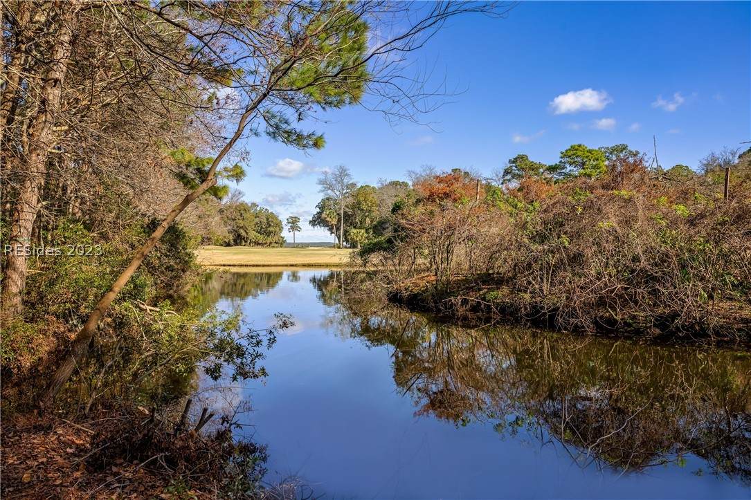 252 Spring Island Drive - Photo 1