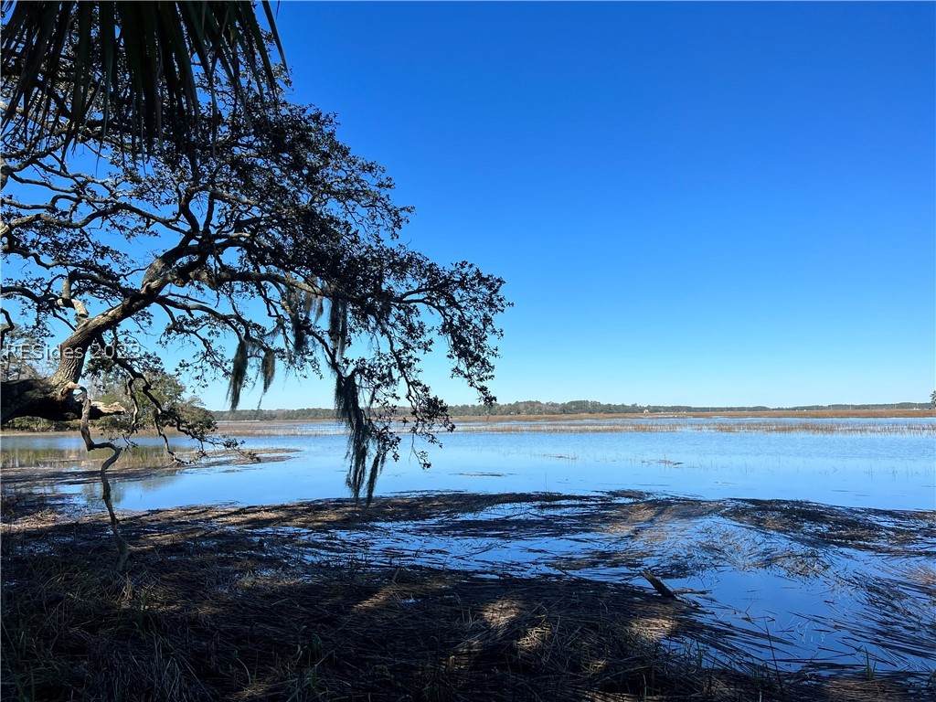 59 Spring Island Drive - Photo 1