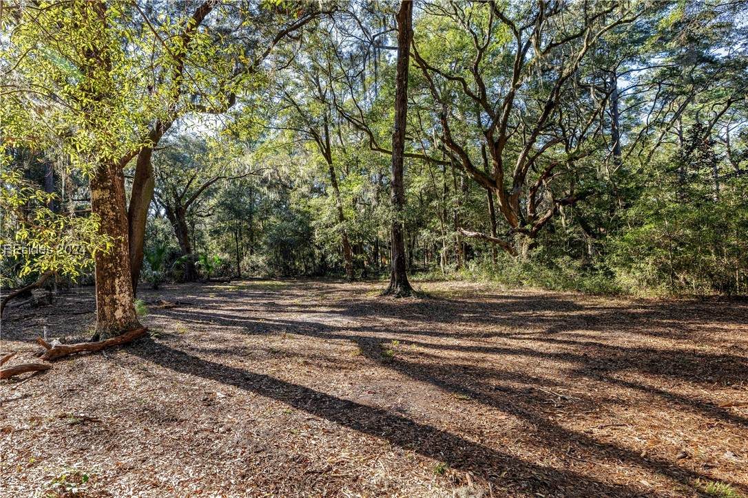 283 Spring Island Drive - Photo 1