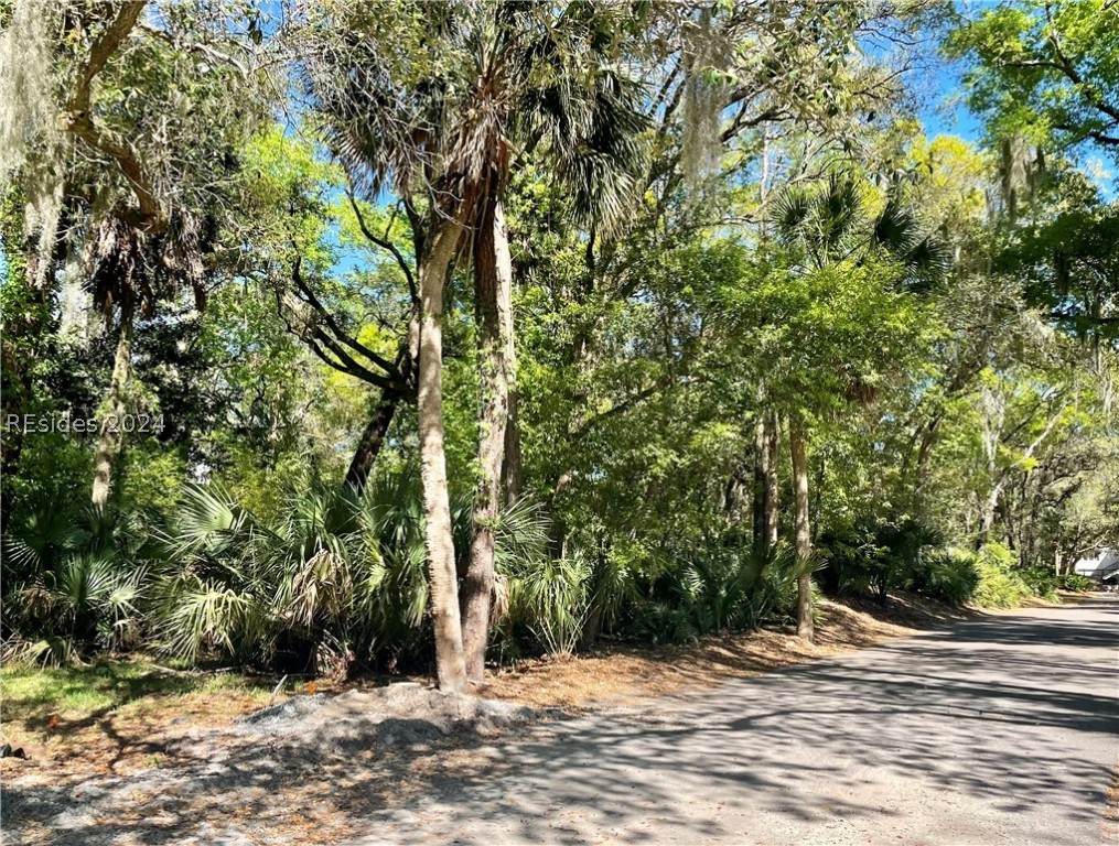 1 High Rigger - Photo 1