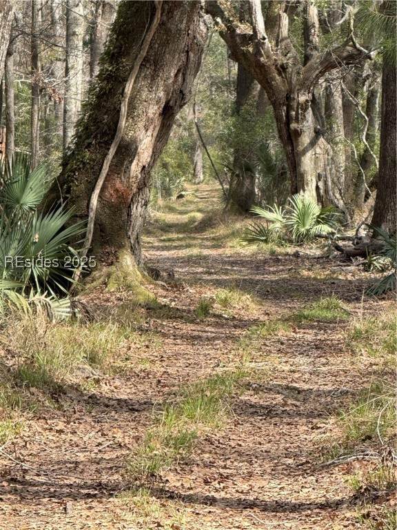 TBD Dressen Road - Photo 1