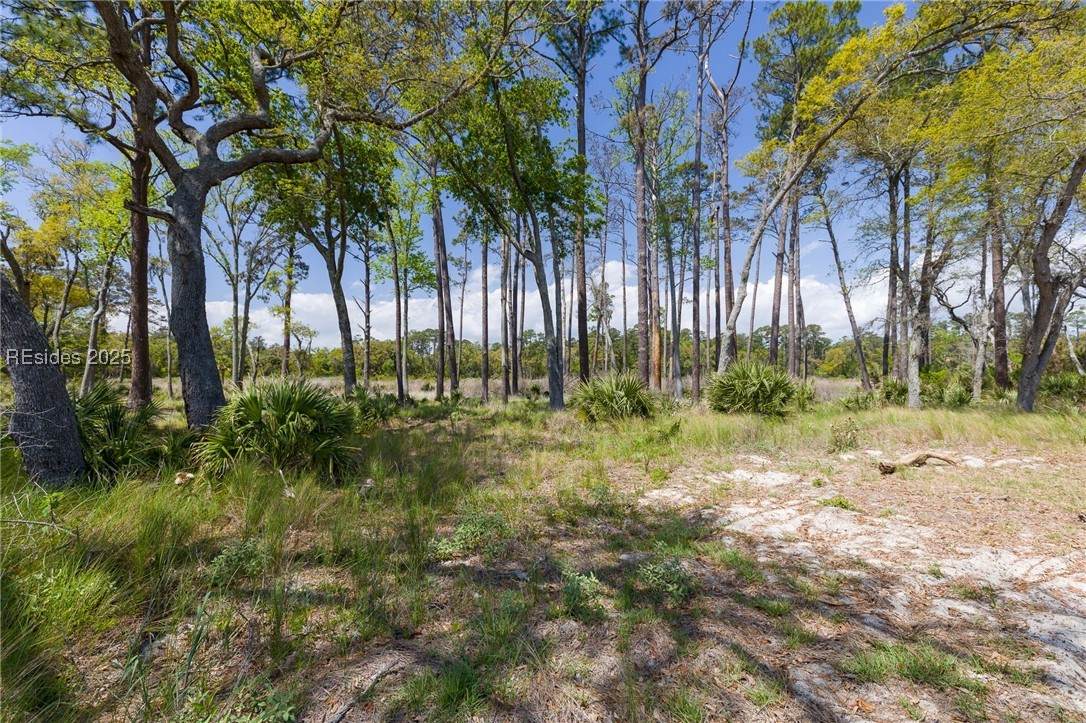 47 Beauregard Blvd - Photo 1