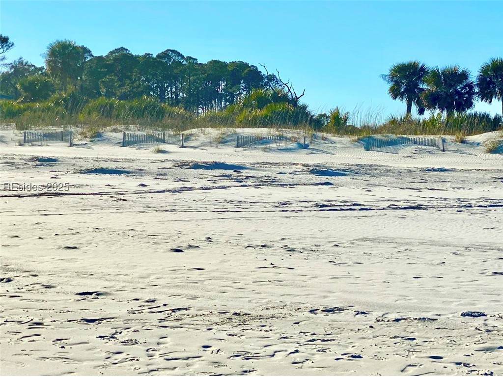 663 William Hilton Parkway - Photo 1