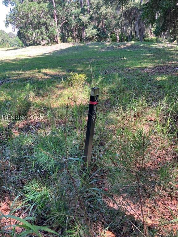 41 Volunteers Ridge - Photo 1