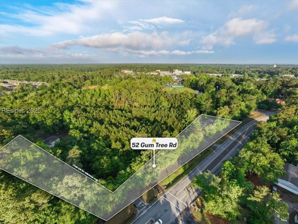 52 Gum Tree Road - Photo 1