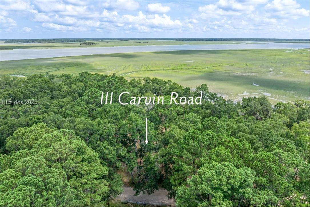 111 Carvin Road - Photo 1