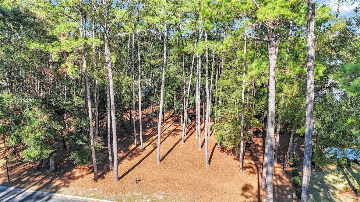 117 Summerton Drive - Photo 1
