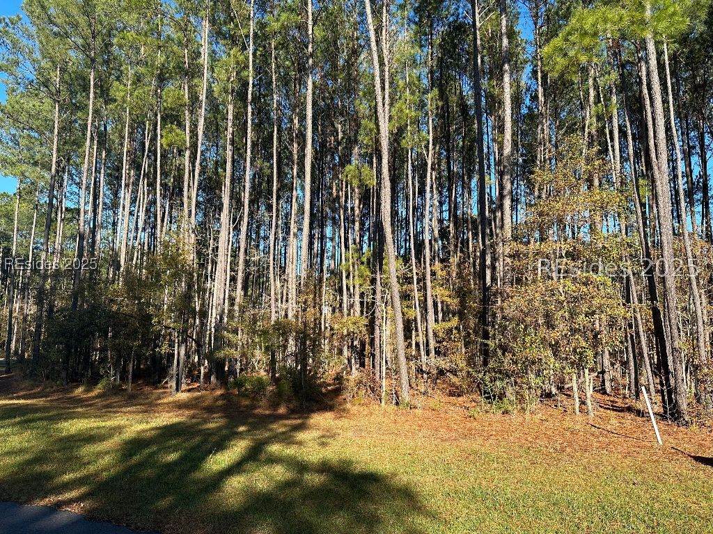 803 Somerset Drive - Photo 1