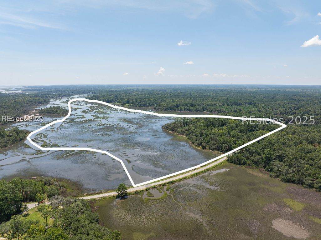 824 Knowles Island Road - Photo 1