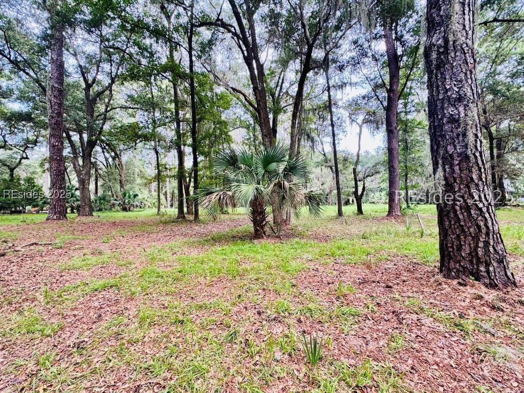 1113 Haig Point Road - Photo 1