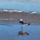 40 Folly Field Road - Photo 45