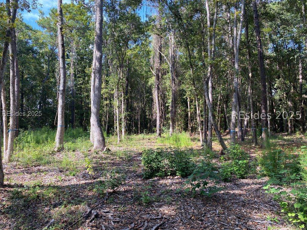 51 Mary Smalls Road - Photo 1