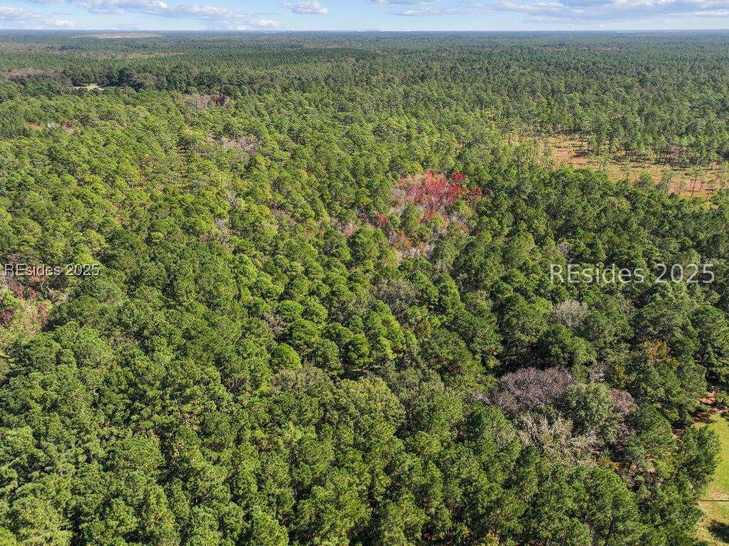 5156 Jasper Station Road - Photo 1