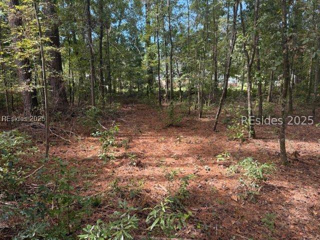 169 Red Breast Lane - Photo 1