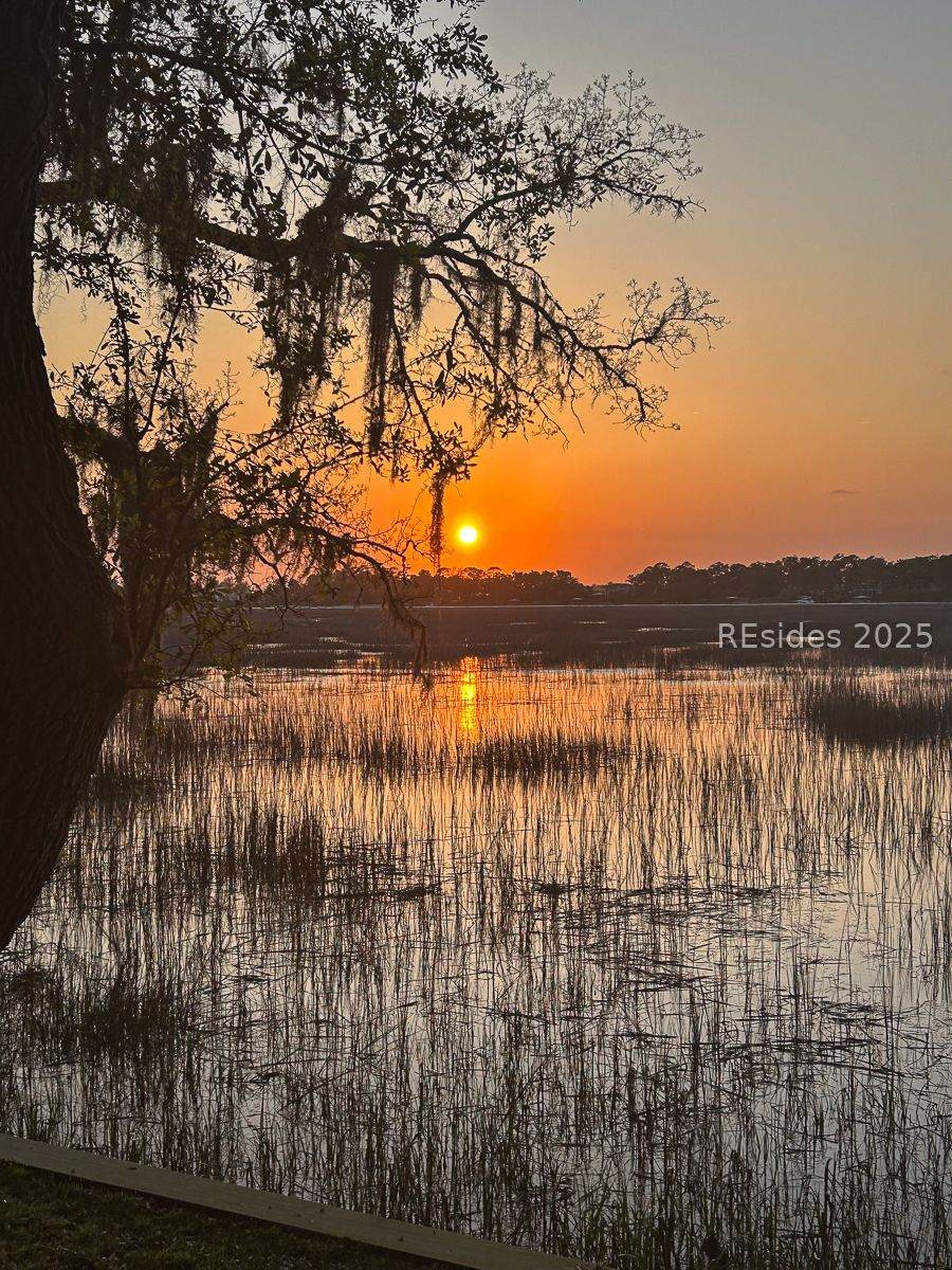 70 Paddle Boat Lane - Photo 1