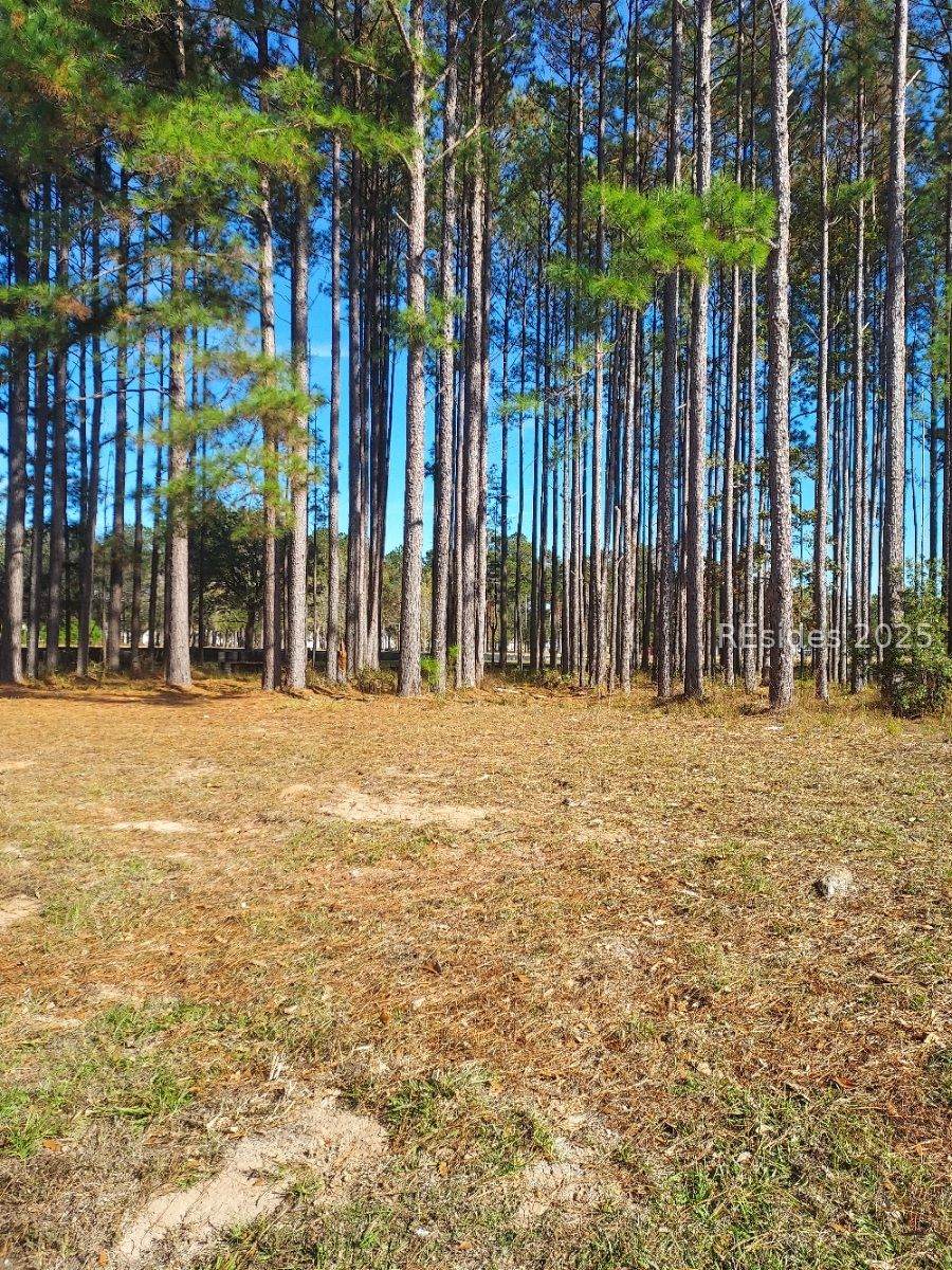 379 Azalea Drive - Photo 1