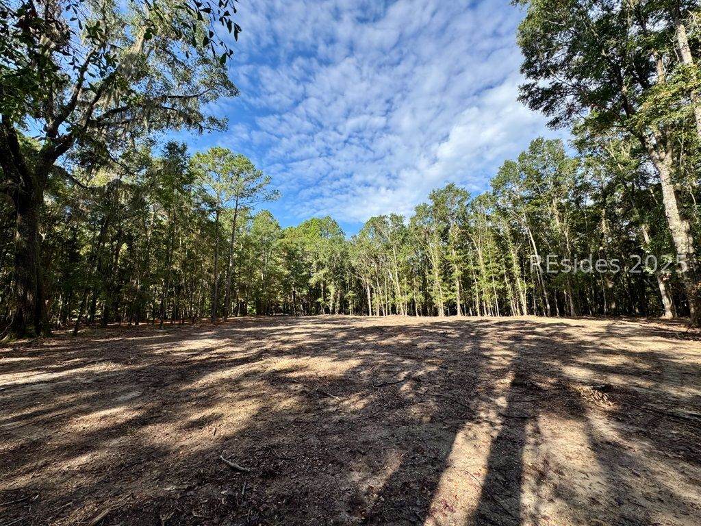 000 Lowcountry Drive - Photo 1