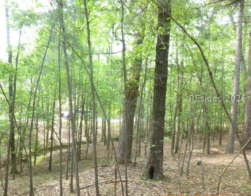 Lot 8 Block 15 Colleen Port - Photo 1