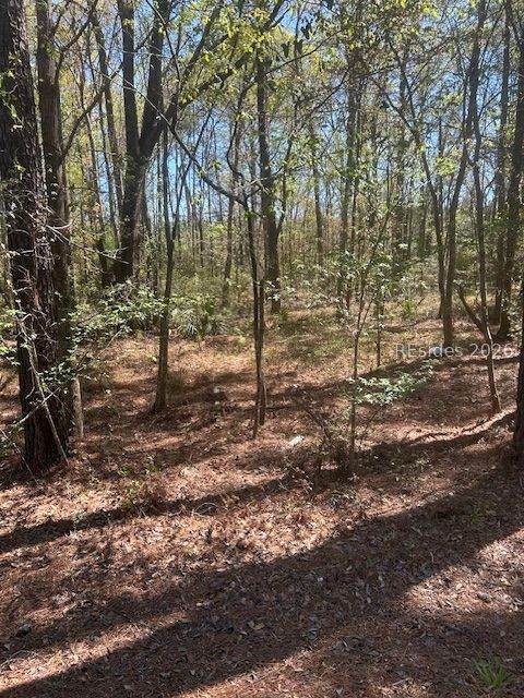 31000 Whyte Blvd - Photo 1