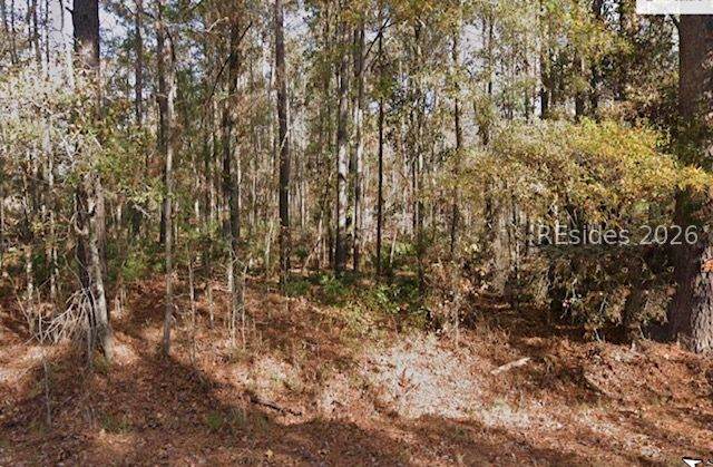 978 Pleasant Hill - Photo 1