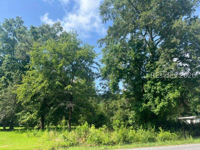 TBD Parsons Road - Photo 1