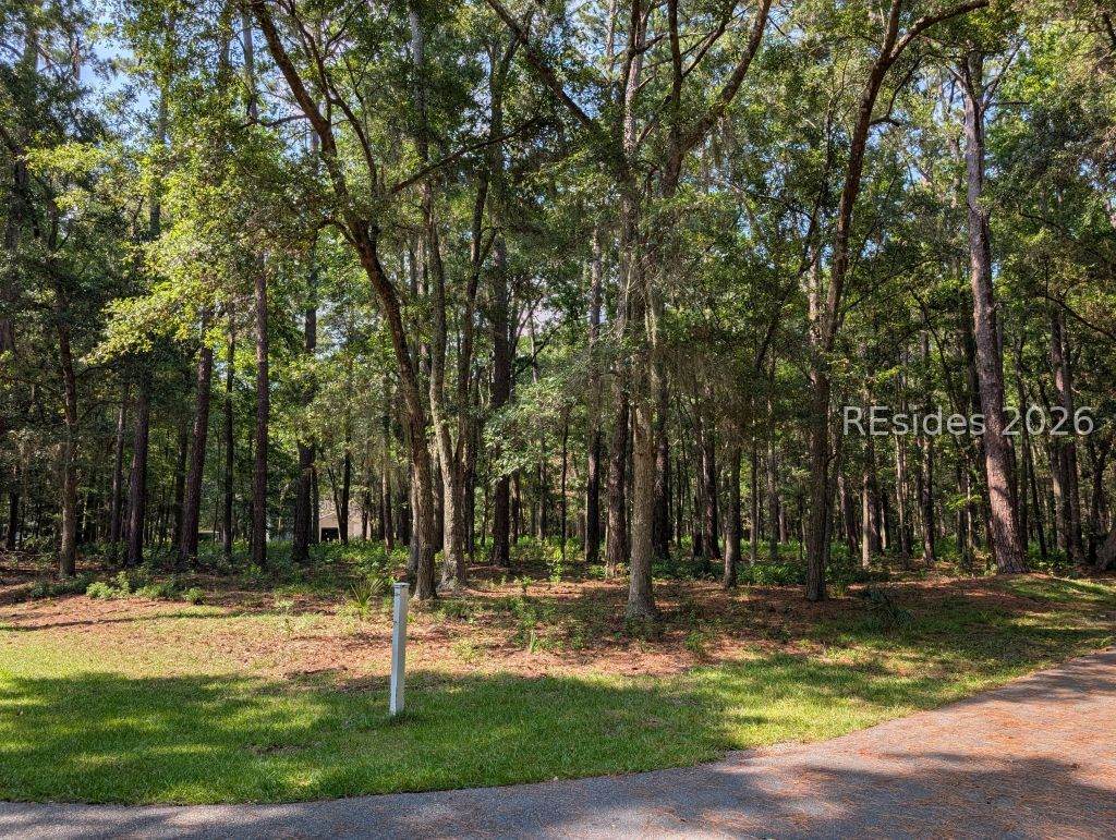 5 Confederate Court - Photo 1