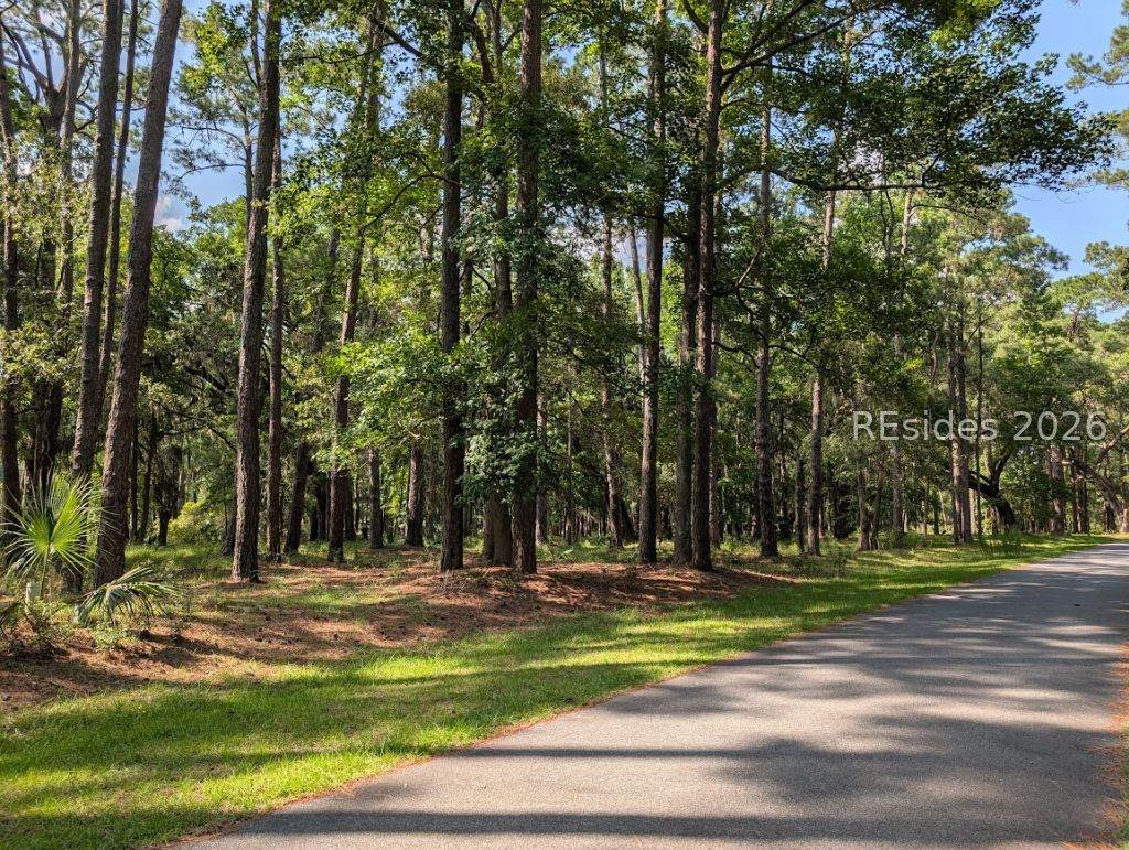 97 Martinangel Lane - Photo 1