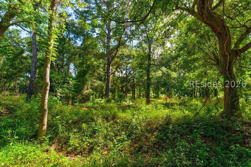 000 Arsburn Road - Photo 1