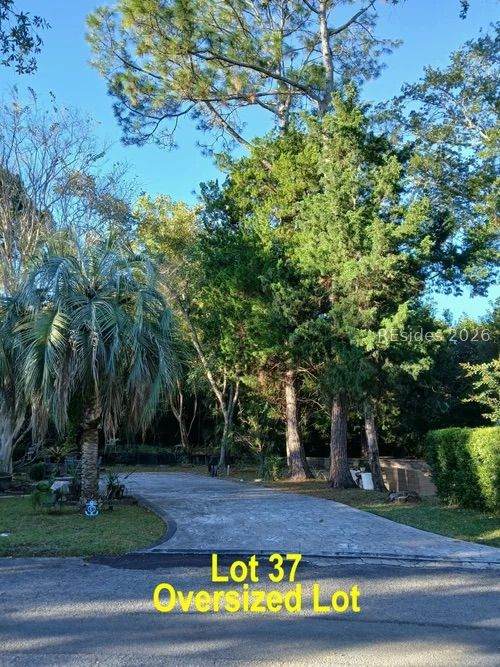 43 Jenkins Island Road - Photo 1
