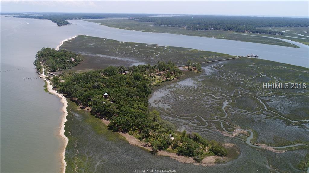 1 Buck Island - Photo 1