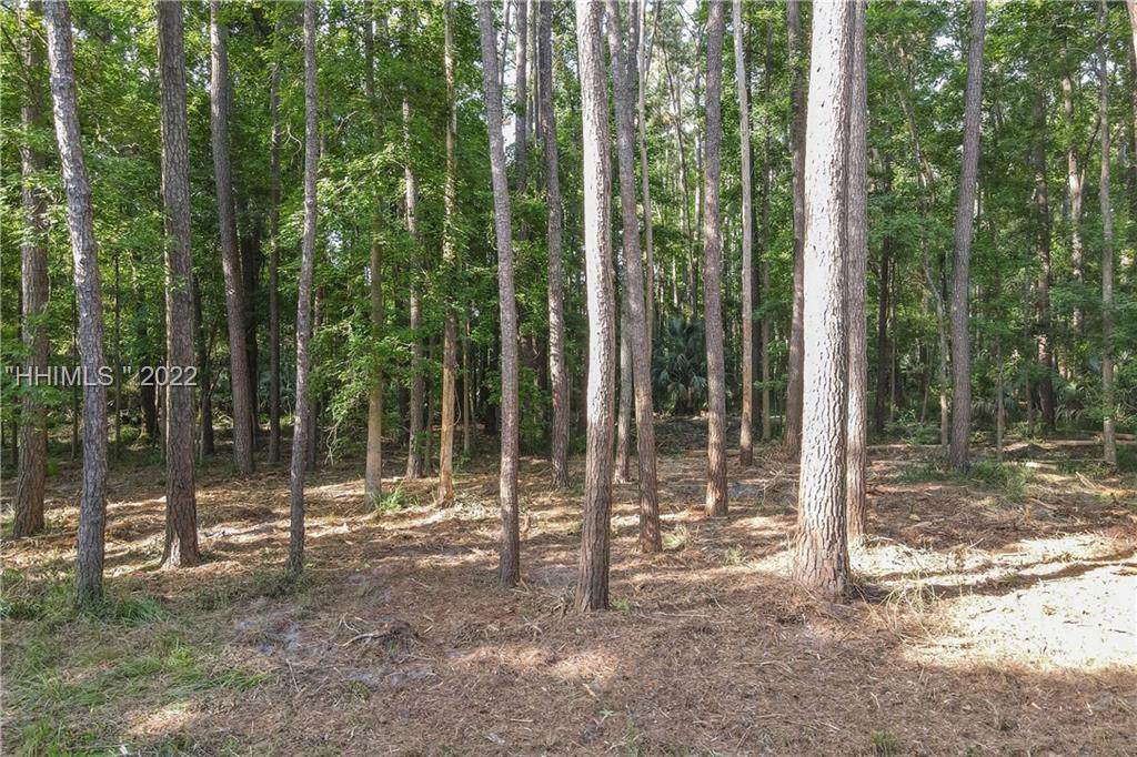 5 Deer Run Lane - Photo 1