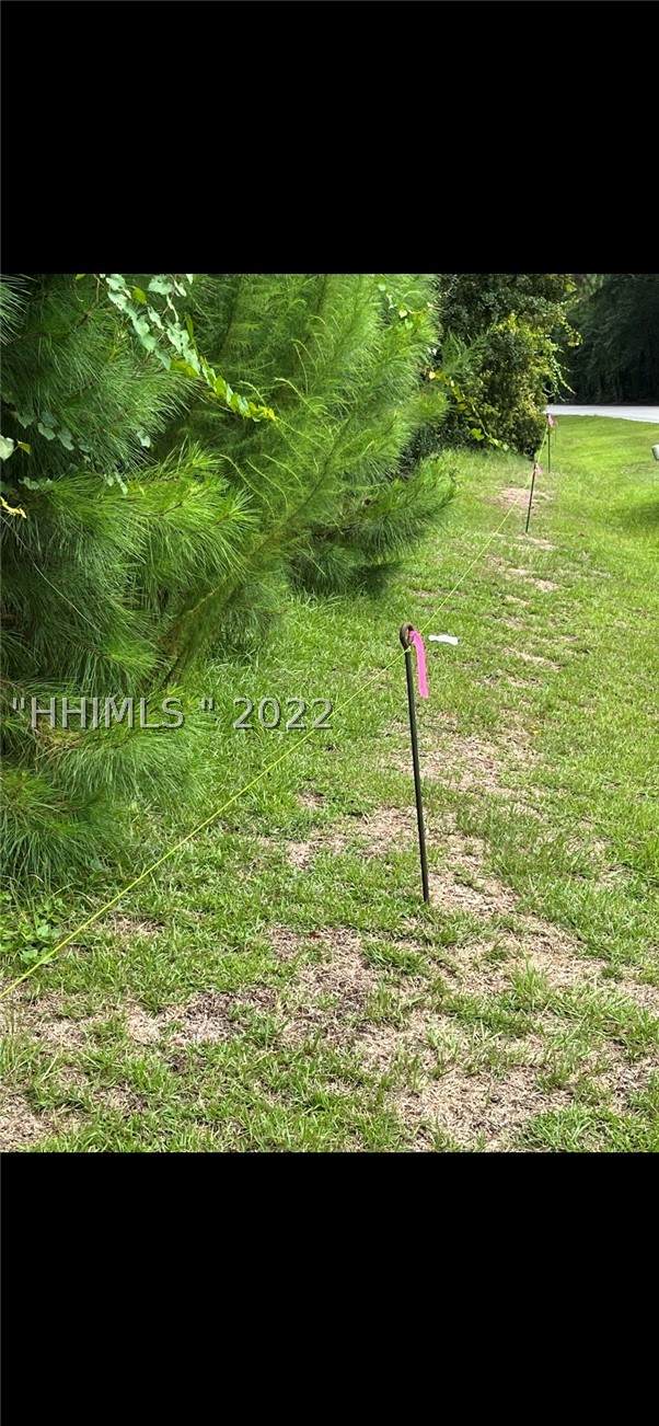 00 Dillon Road - Photo 1