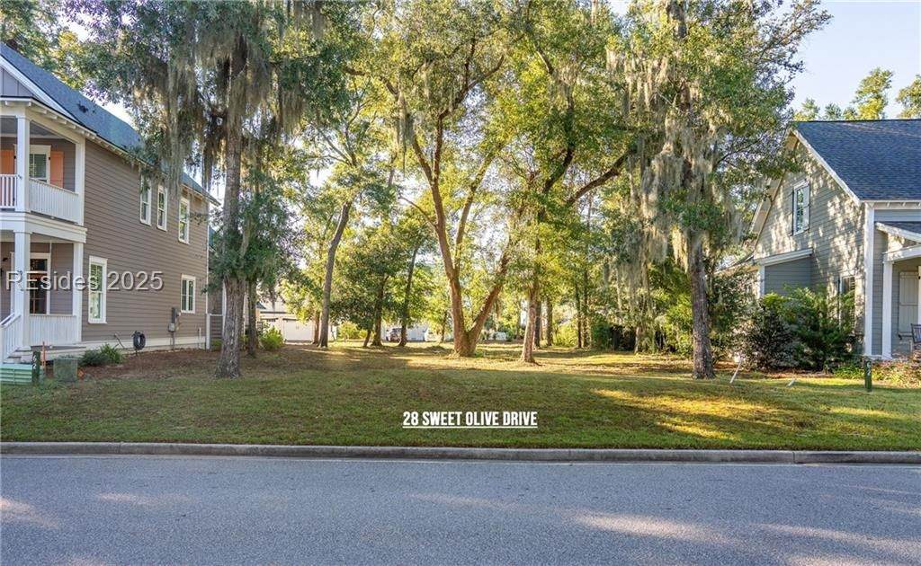 28 Sweet Olive Drive - Photo 1
