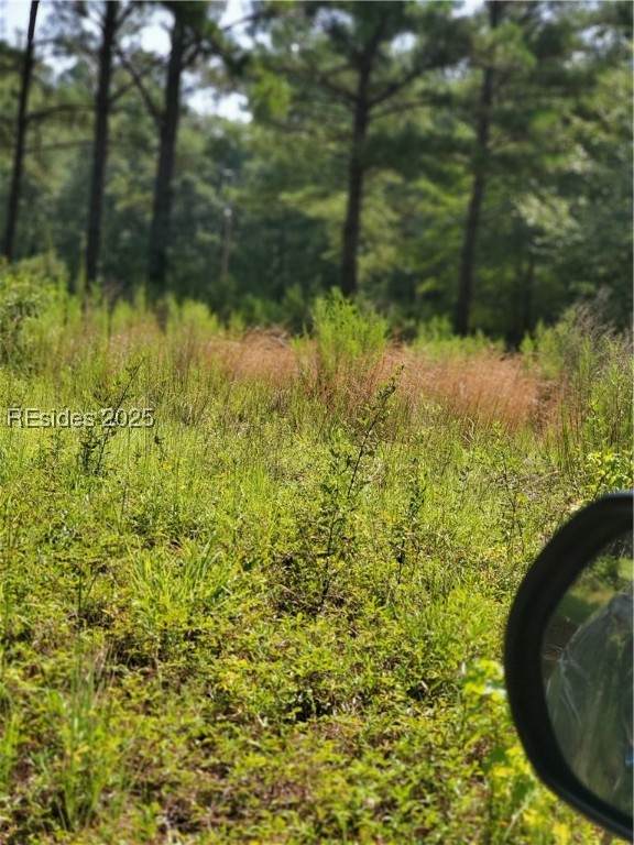 Firetower Road - Photo 1