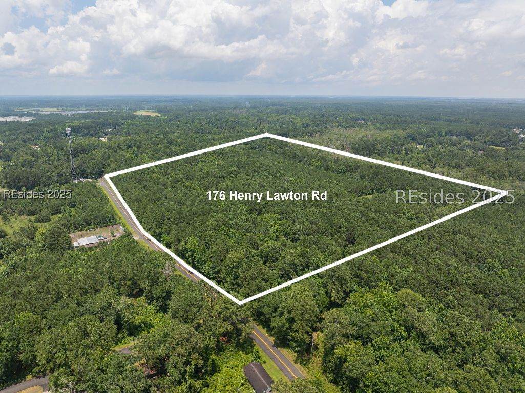 176 Henry Lawton Road - Photo 1