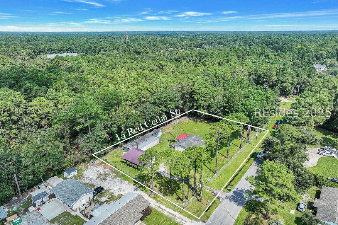 15 Red Cedar Street - Photo 1