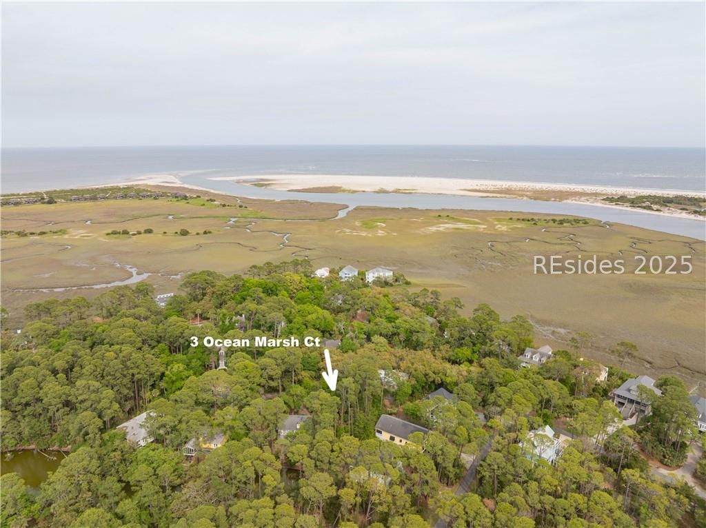 3 Ocean Marsh Court - Photo 1