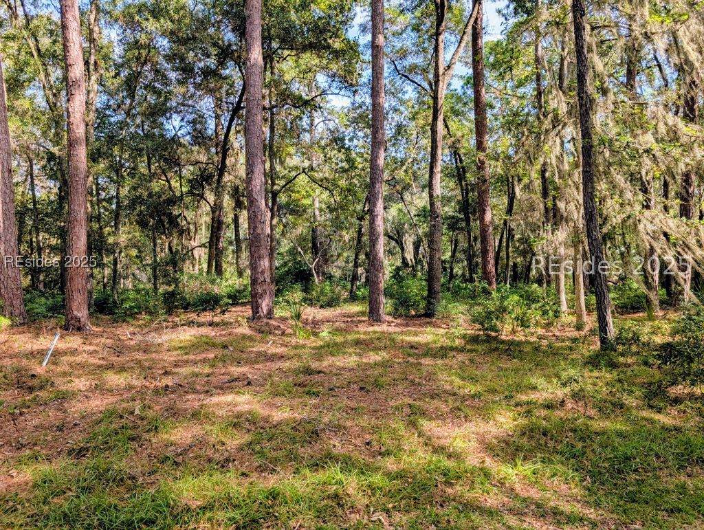 48 Volunteers Ridge - Photo 1