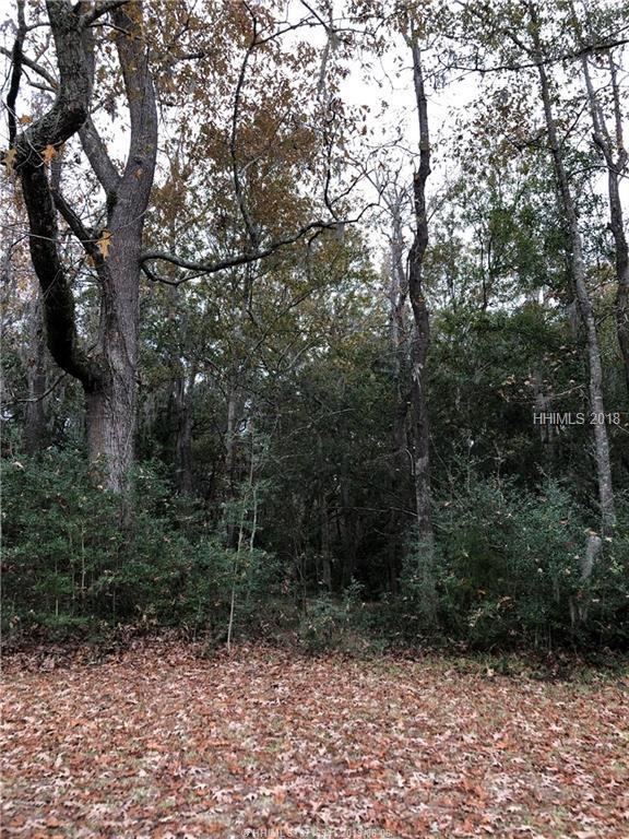 69 Coosaw Way - Photo 1