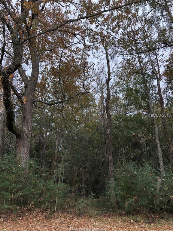 65 Broad River Rd - Photo 1